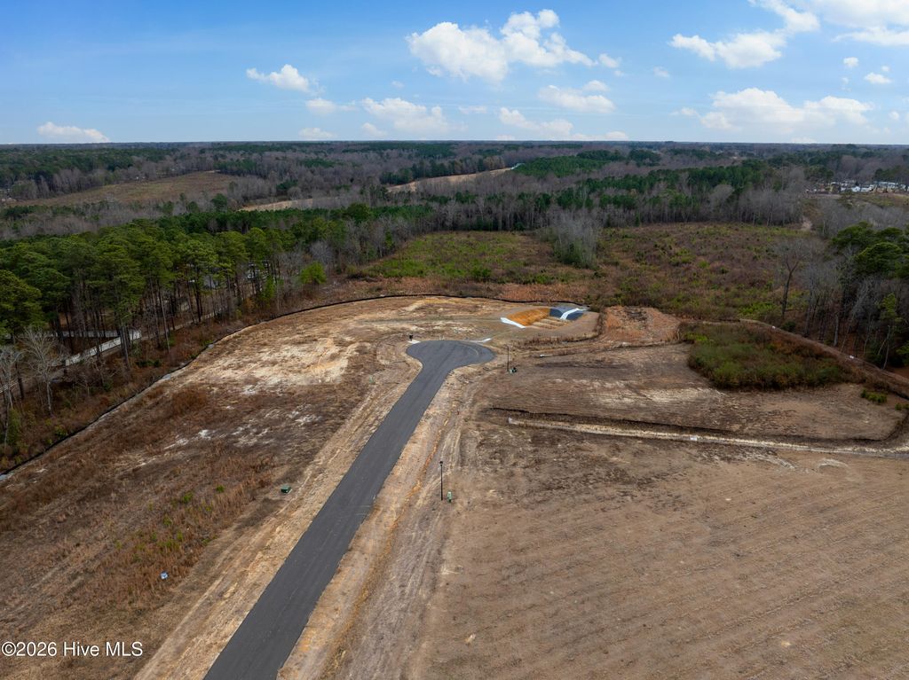 Photo of 28 Stellars Sea Court, Benson, NC 27504 (MLS # 100543448)