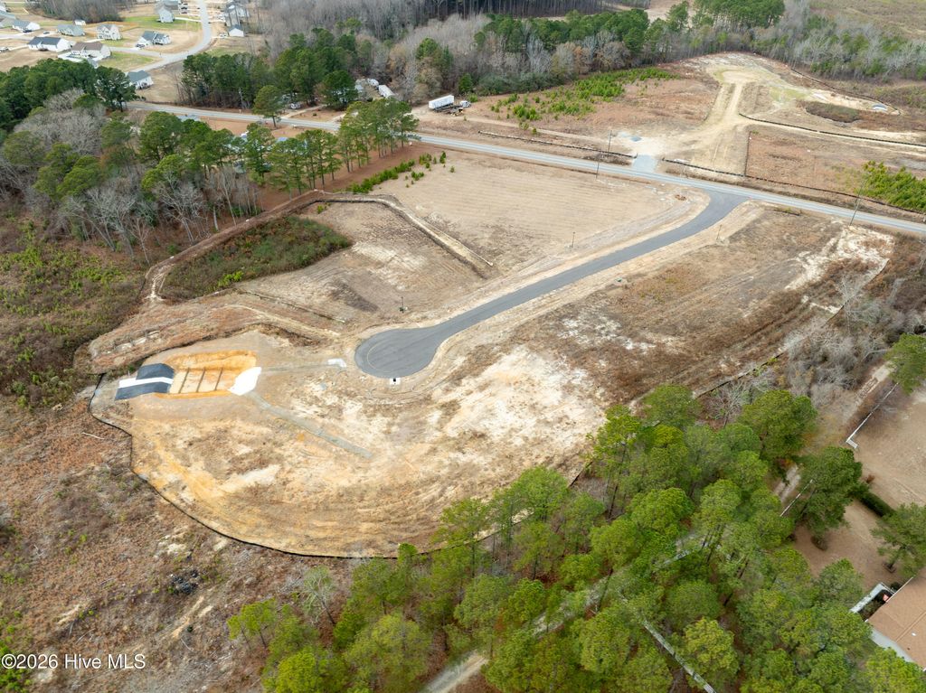 Photo of 28 Stellars Sea Court, Benson, NC 27504 (MLS # 100543448)