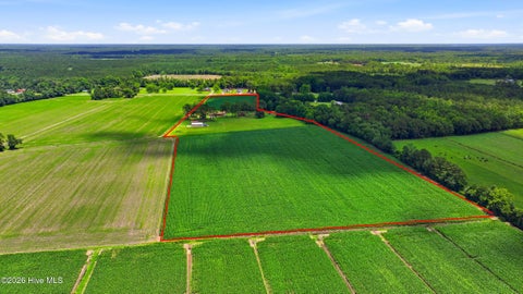 Tiny photo for 2665 Us Hwy 117, Burgaw, NC 28425 (MLS # 100579795)