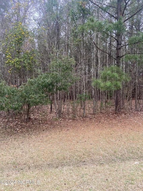 Vacant Land For Sale - LOT 88 Johnson Drive<br/> Perquimans County, Hertford, NC 27944