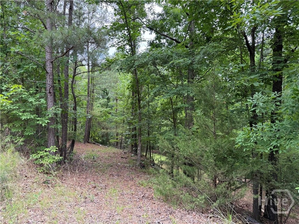 Photo of 0 Bramlett Cir, Elberton, GA 30635 (MLS # CL356078)