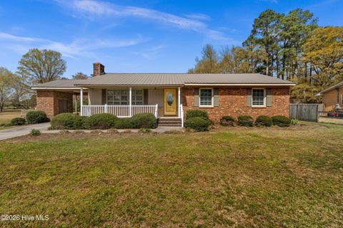 Photo of 129 Pineland Avenue, Mount Olive, NC 28365 (MLS # 100560784)