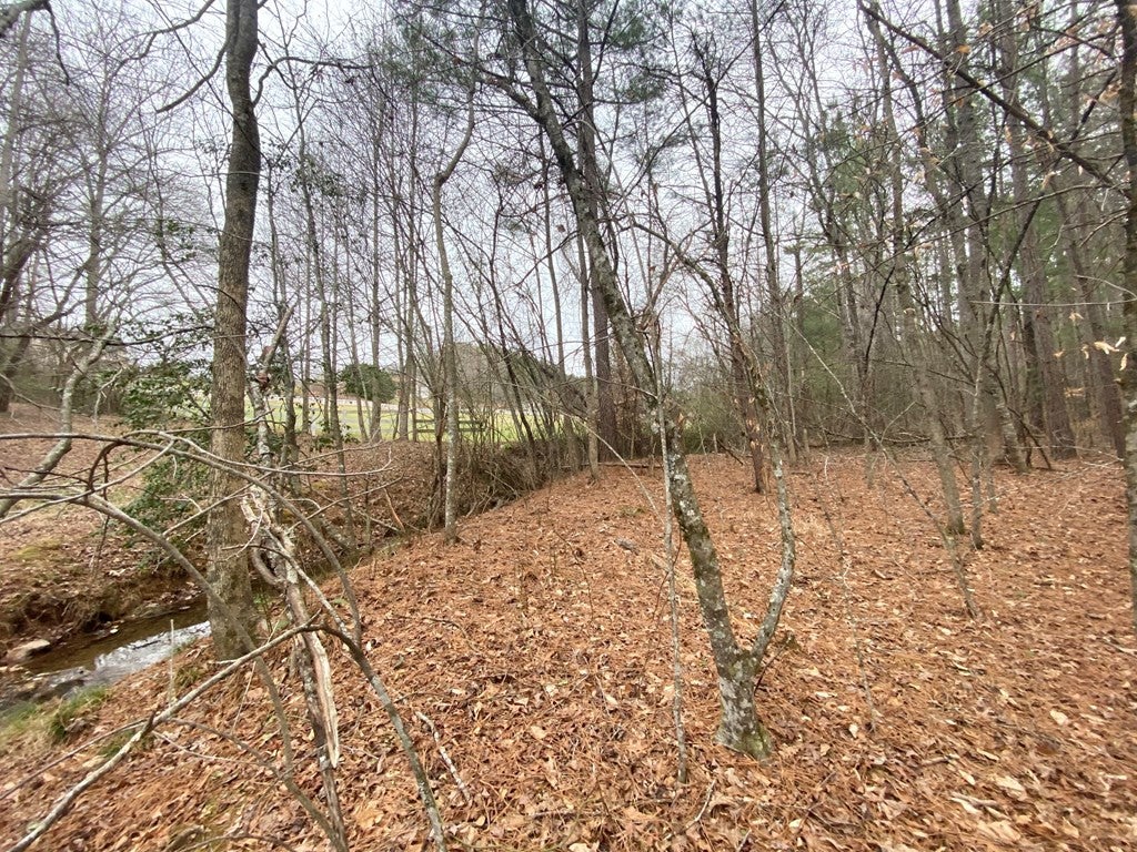 Photo of 21 Broadleaf Lane, Murphy, NC 28906 (MLS # 98500818)