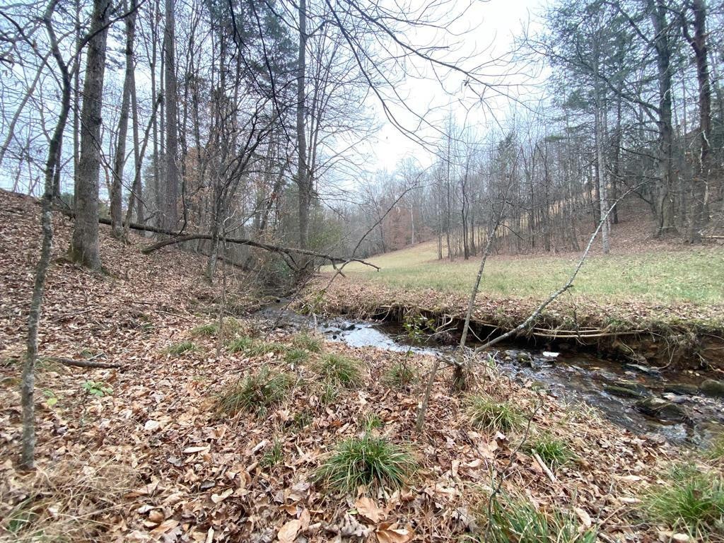 Photo of 21 Broadleaf Lane, Murphy, NC 28906 (MLS # 98500818)