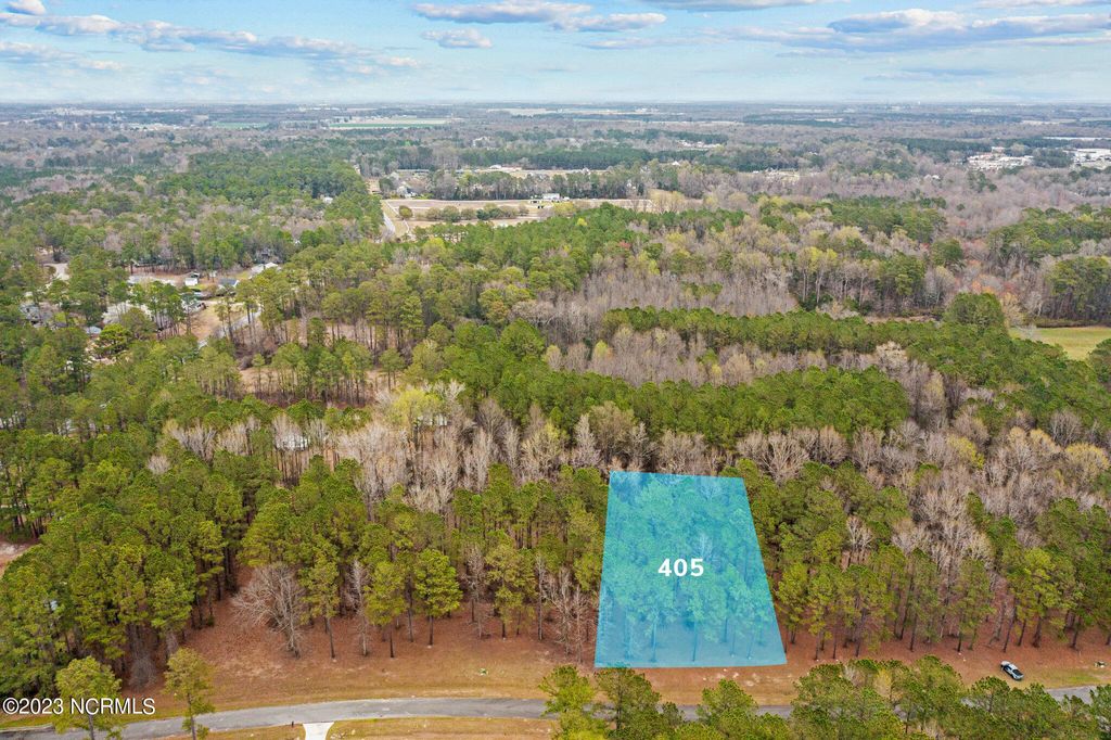 Photo of 405 Anna Lane, Snow Hill, NC 28580 (MLS # 100374429)