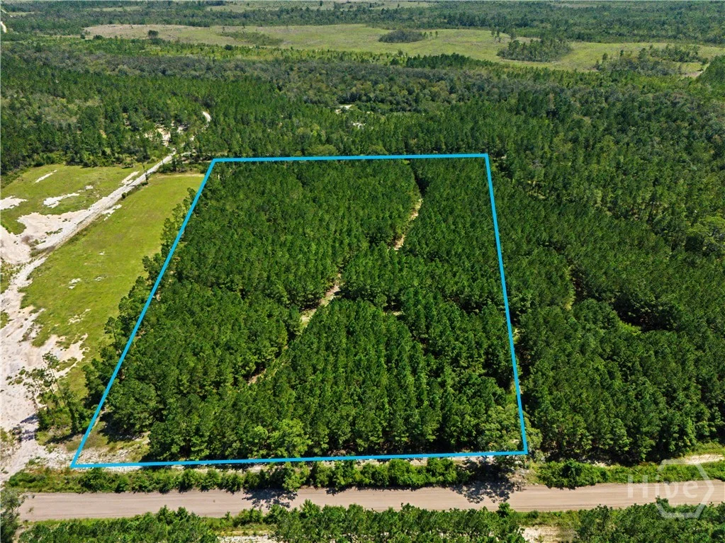 LOT 1-O Mill Branch Club Road, Pembroke, GA, 31321