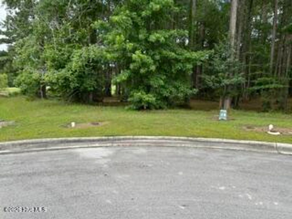 Photo of 4624 Lapis Court, New Bern, NC 28562 (MLS # 100584006)