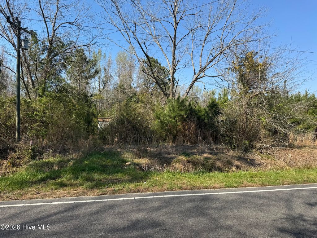 Photo of 17188 Nc-210, Rocky Point, NC 28457 (MLS # 100563106)