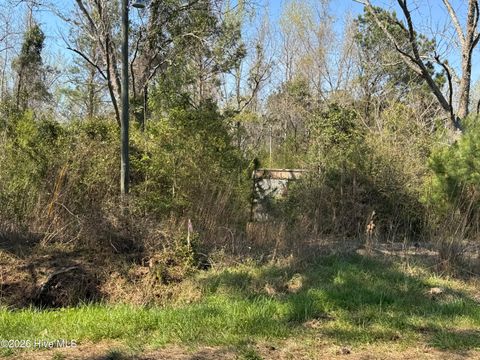 Vacant Land For Sale - 17188 Nc-210<br/> Pender County, Rocky Point, NC 28457