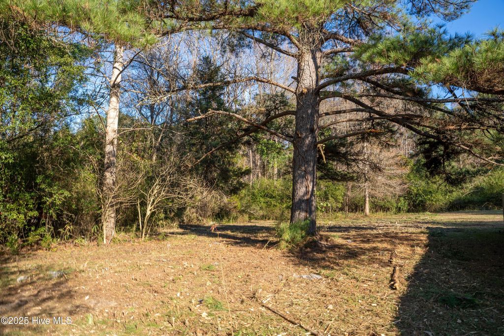 Photo of 3406 Old Airport Road, New Bern, NC 28562 (MLS # 100546086)