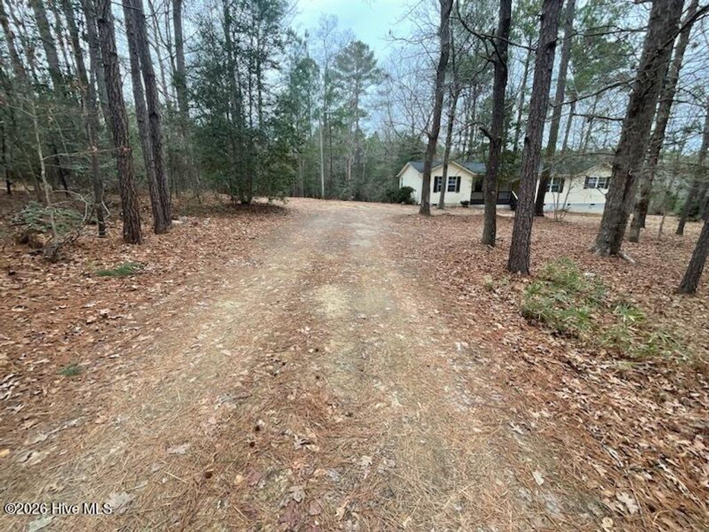 Photo of 665 Maplewood Lane, West End, NC 27376 (MLS # 100559769)