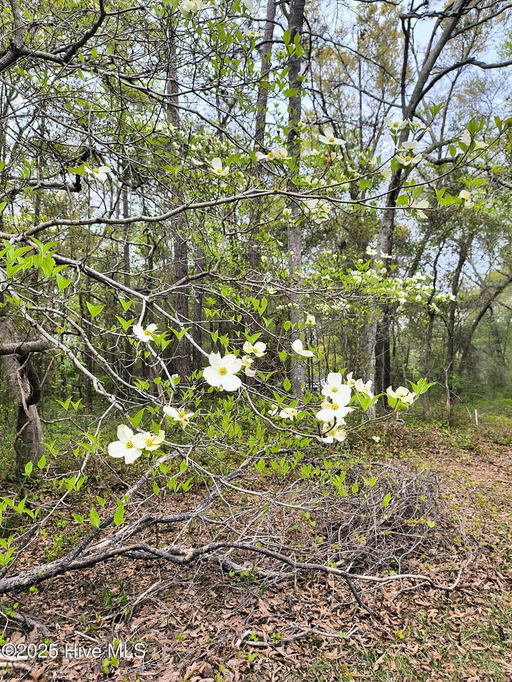 Photo of 786 Pondview Drive SE, Bolivia, NC 28422 (MLS # 100499617)