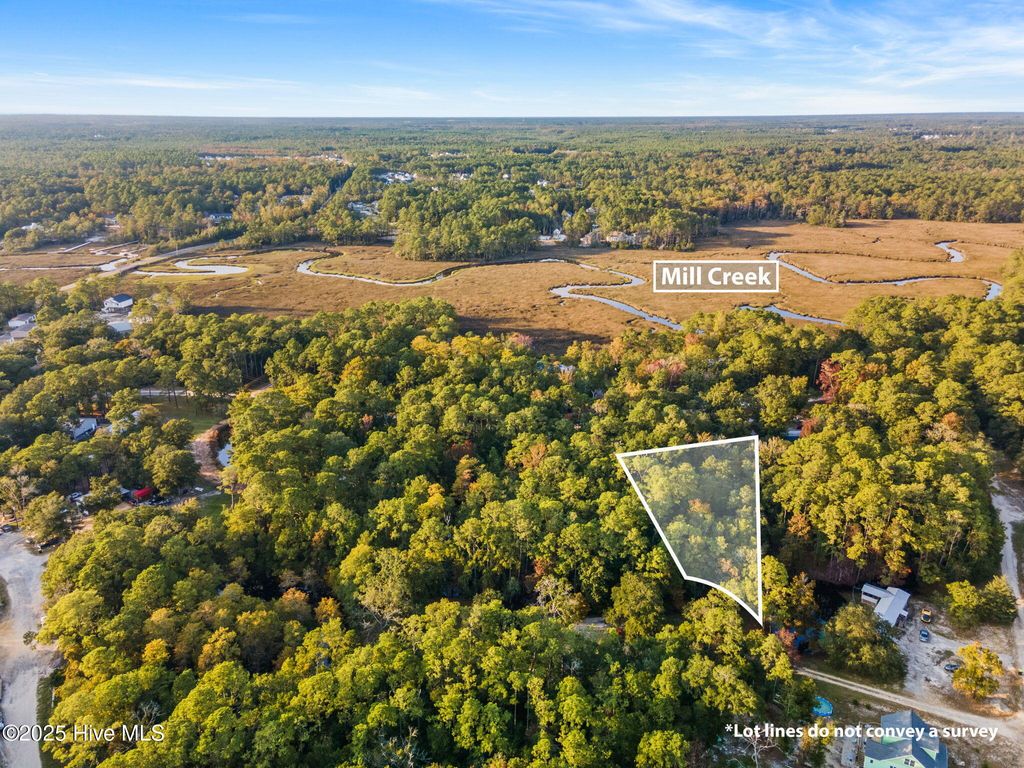 Photo of 786 Pondview Drive SE, Bolivia, NC 28422 (MLS # 100499617)