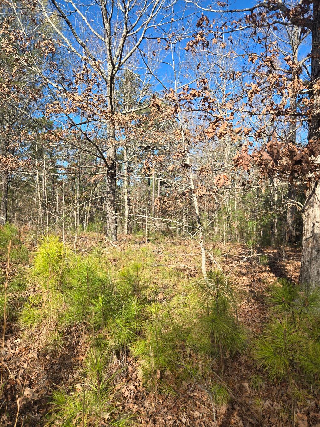 Photo of 0 Outrigger Drive, Lincolnton, GA 30817 (MLS # 550086)