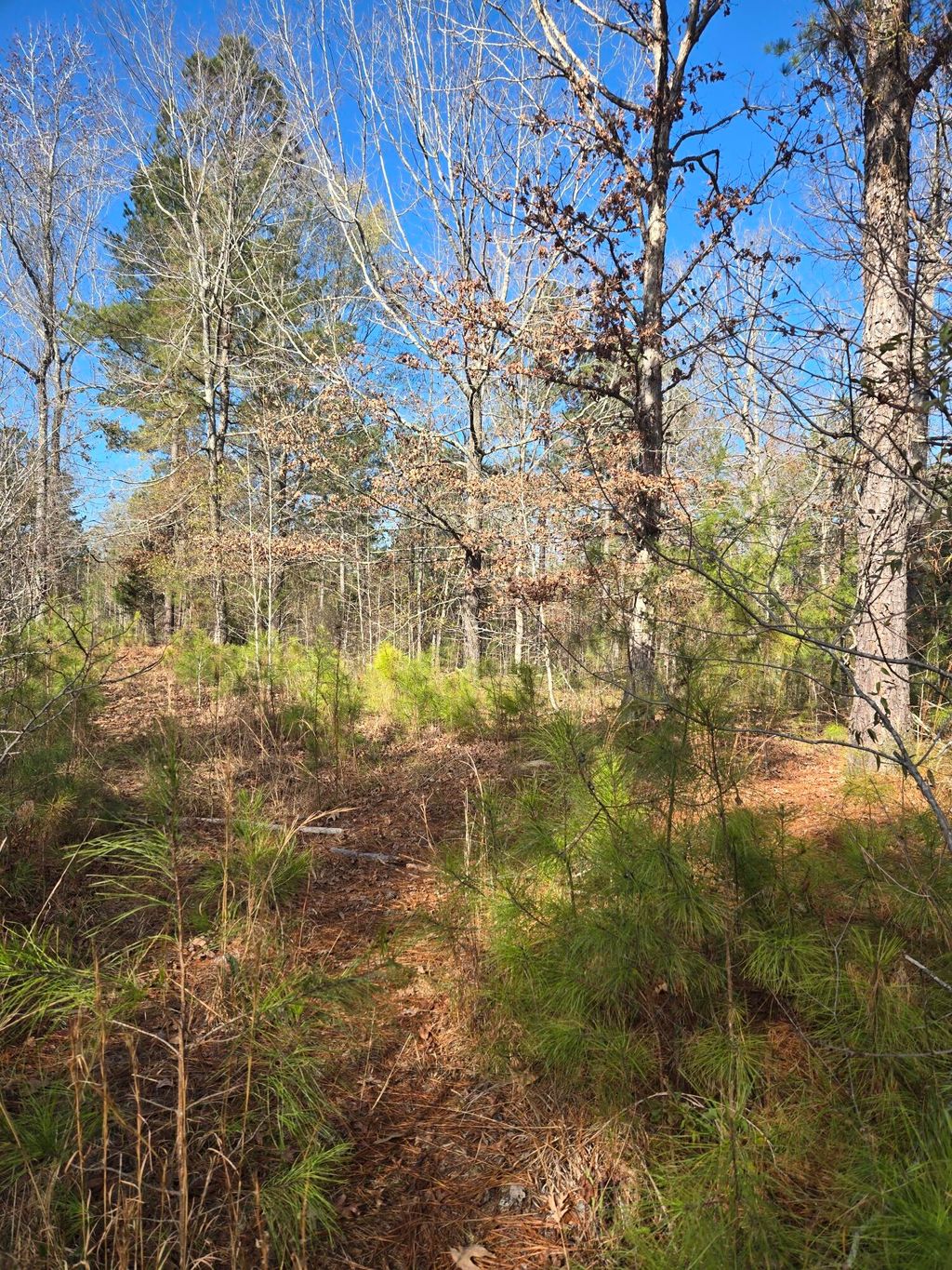 Photo of 0 Outrigger Drive, Lincolnton, GA 30817 (MLS # 550086)