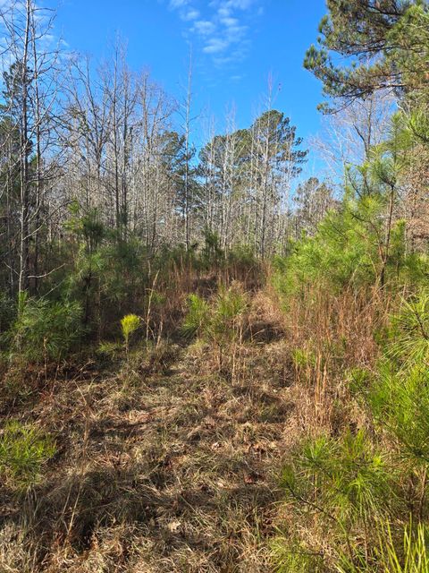 Vacant Land For Sale - Outrigger Drive<br/> Lincoln County, Lincolnton, GA 30817