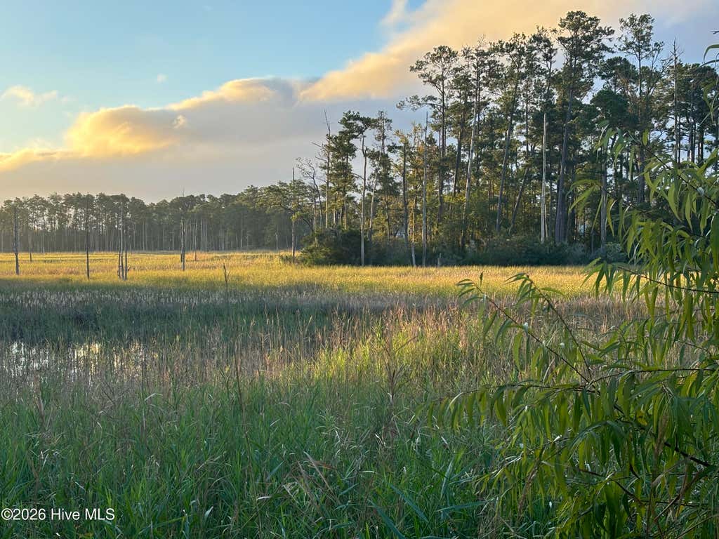 Photo of 210 Fullford Lane #103, Wilmington, NC 28412 (MLS # 100583428)