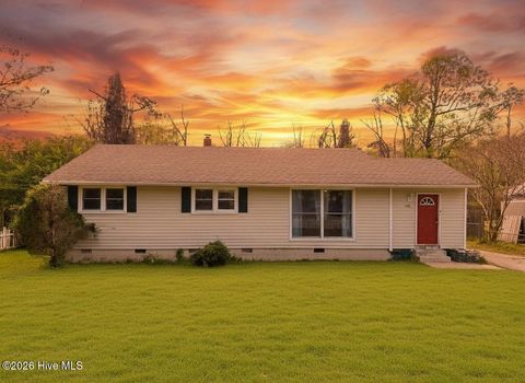 Tiny photo for 409 Jarman Street, Jacksonville, NC 28540 (MLS # 100563356)