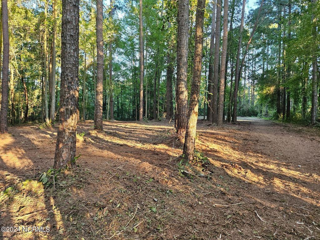 Photo of 279 Mill Creek Lane, Bath, NC 27808 (MLS # 100430072)