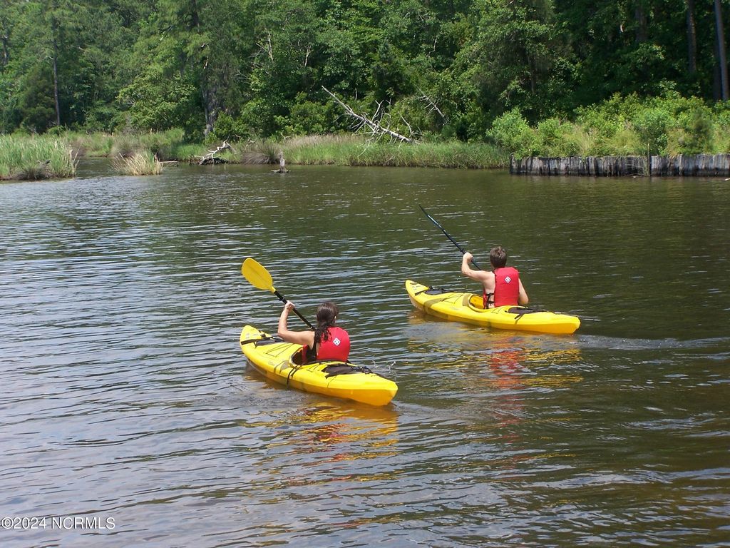 Photo of 279 Mill Creek Lane, Bath, NC 27808 (MLS # 100430072)