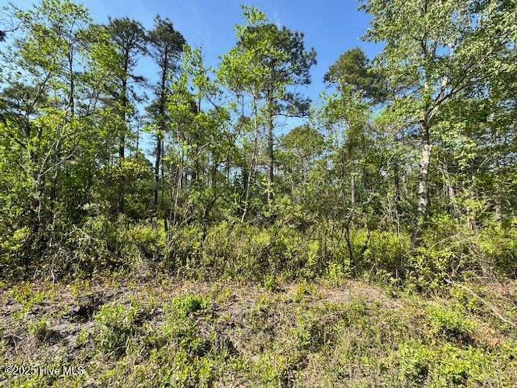 Photo of 308 Plantation Road, Wilmington, NC 28411 (MLS # 100512398)