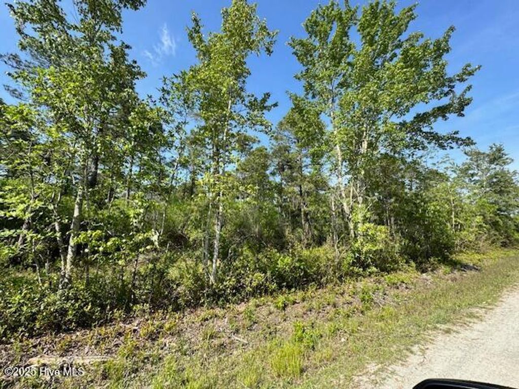 Photo of 308 Plantation Road, Wilmington, NC 28411 (MLS # 100512398)