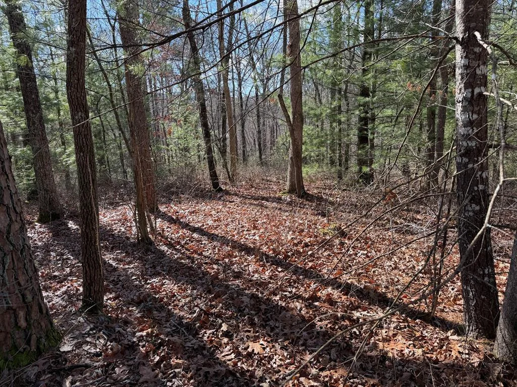 Lot #43 Laurel Drive