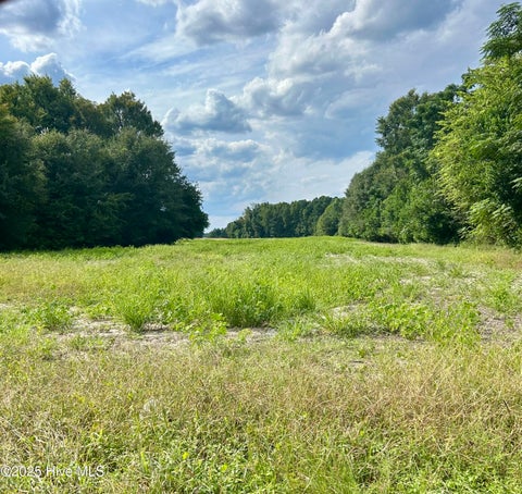Vacant Land For Sale - TR #2 Mcqueen Road<br/> Laurinburg, NC 28352