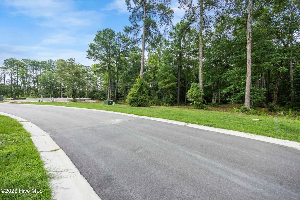 Photo of 3695 River Park Way NE, Leland, NC 28451 (MLS # 100595958)