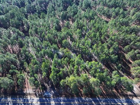 Vacant Land For Sale - TBD Nc Hwy 130 Road<br/> Fairmont, NC 28340