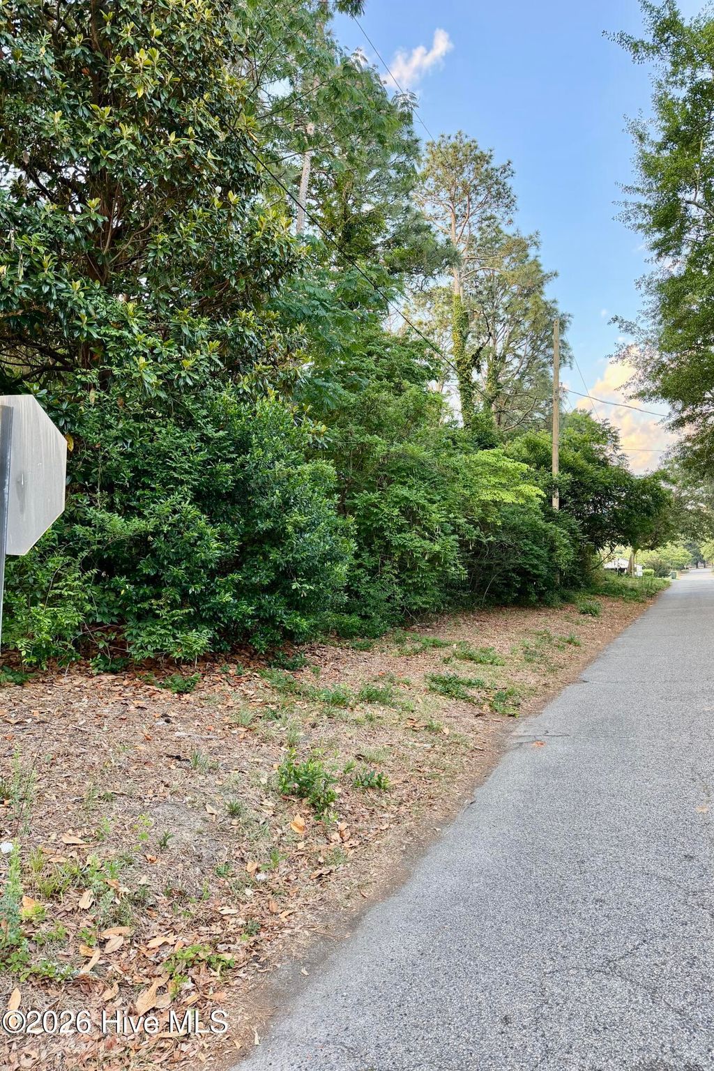 Photo of 8 Oak Avenue, Hamlet, NC 28345 (MLS # 100576973)