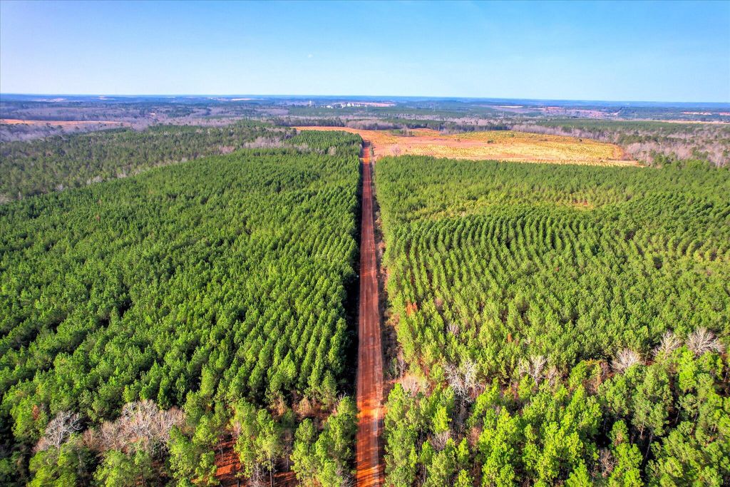 Photo of 0 Old Thomson Road, Wrens, GA 30833 (MLS # 552525)