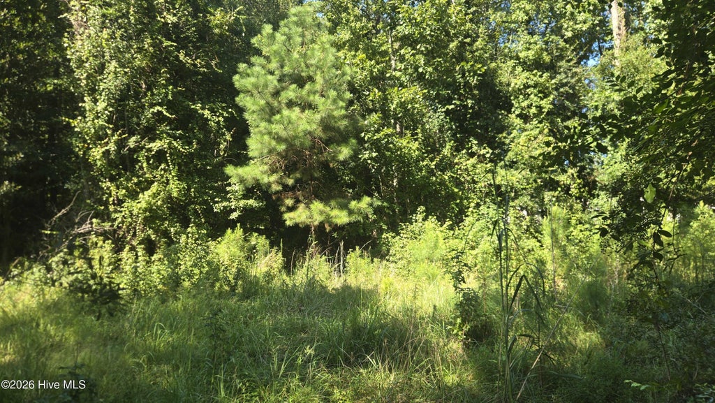 Photo of 100 Magnolia Way, Grantsboro, NC 28529 (MLS # 100601384)