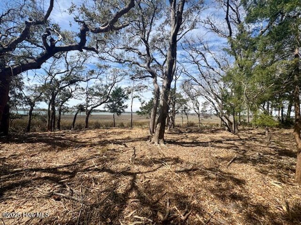 Photo of 3 Windy Point Road SW, Supply, NC 28462 (MLS # 100532300)