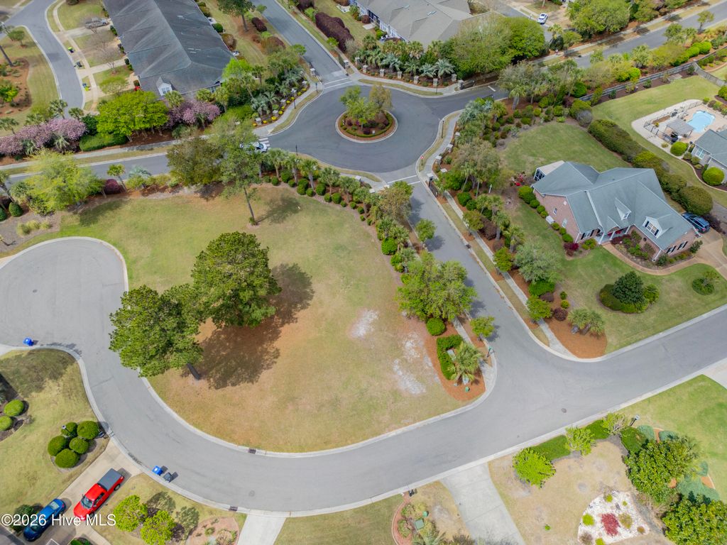 Photo of 1007 Natural Springs Way, Leland, NC 28451 (MLS # 100575360)