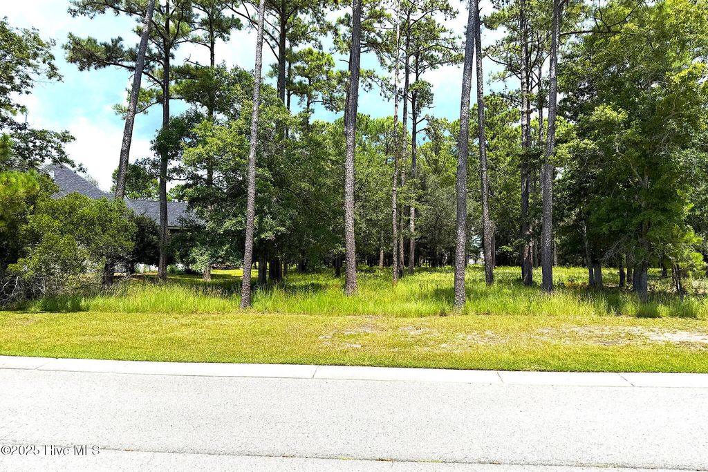 Photo of 3430 Scupper Run SE, Southport, NC 28461 (MLS # 100521966)