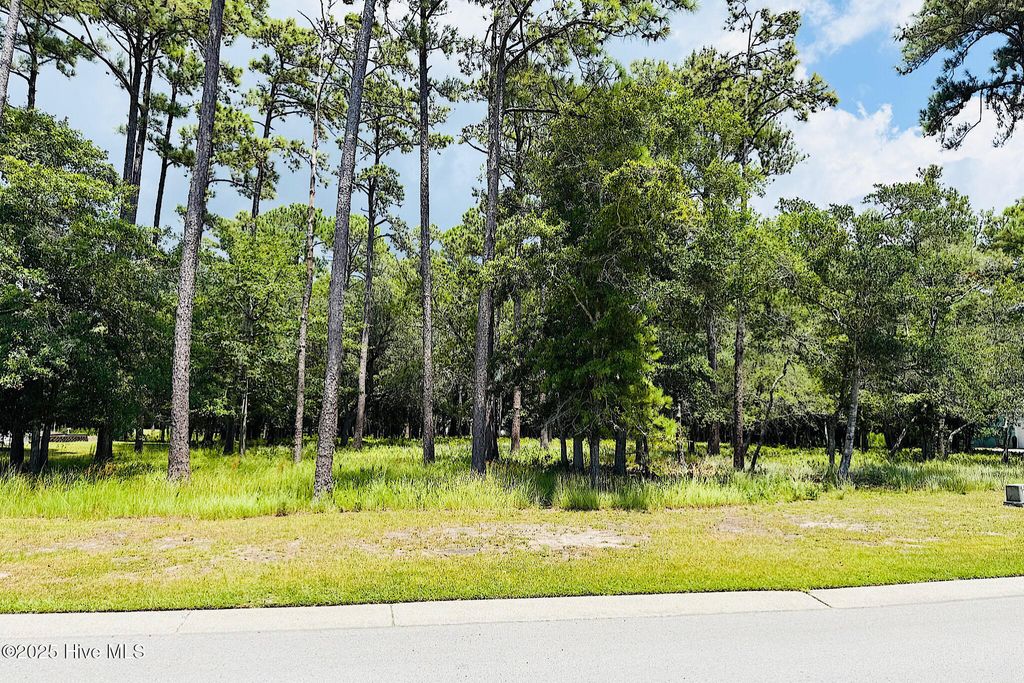 Photo of 3430 Scupper Run SE, Southport, NC 28461 (MLS # 100521966)