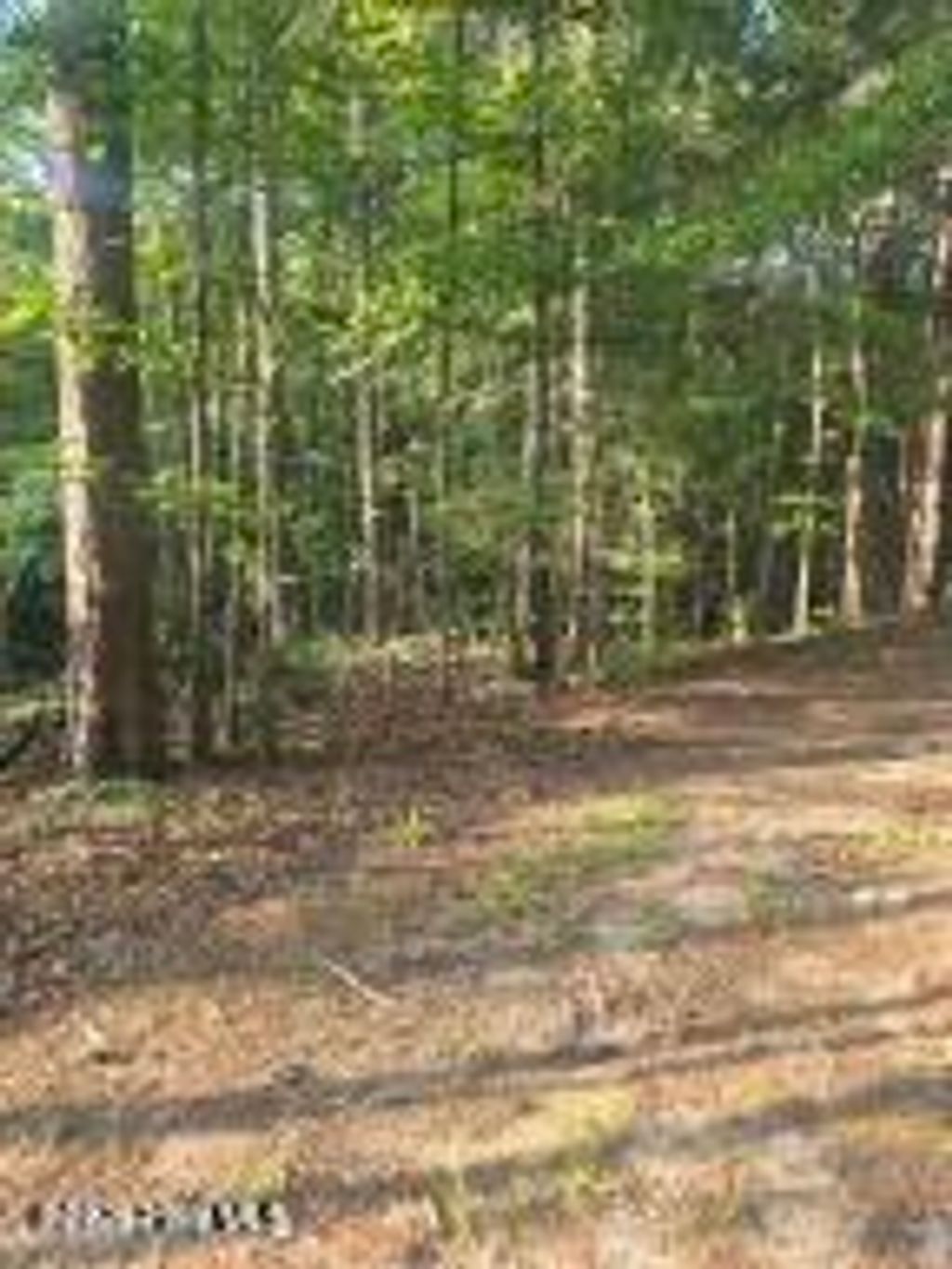 Photo of 151 Southwind Drive, McCormick, SC 29835 (MLS # 100590421)