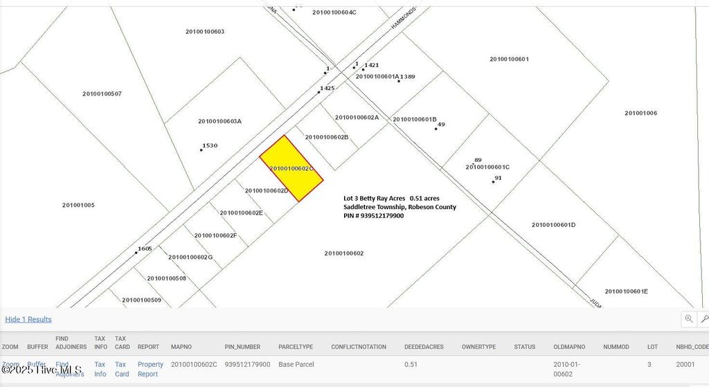 Photo of 3 Hammonds Road, Lumberton, NC 28360 (MLS # 100541829)