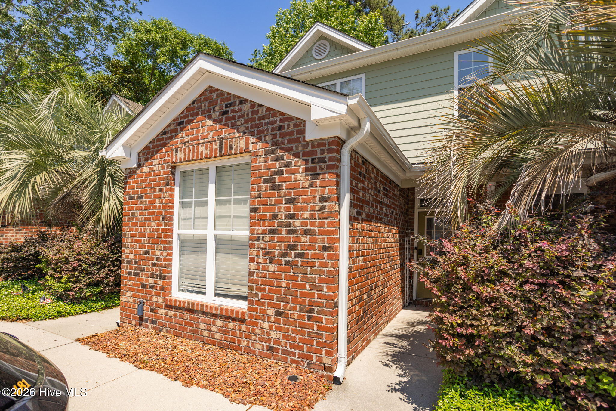 5605 Moss Vine Place 11
