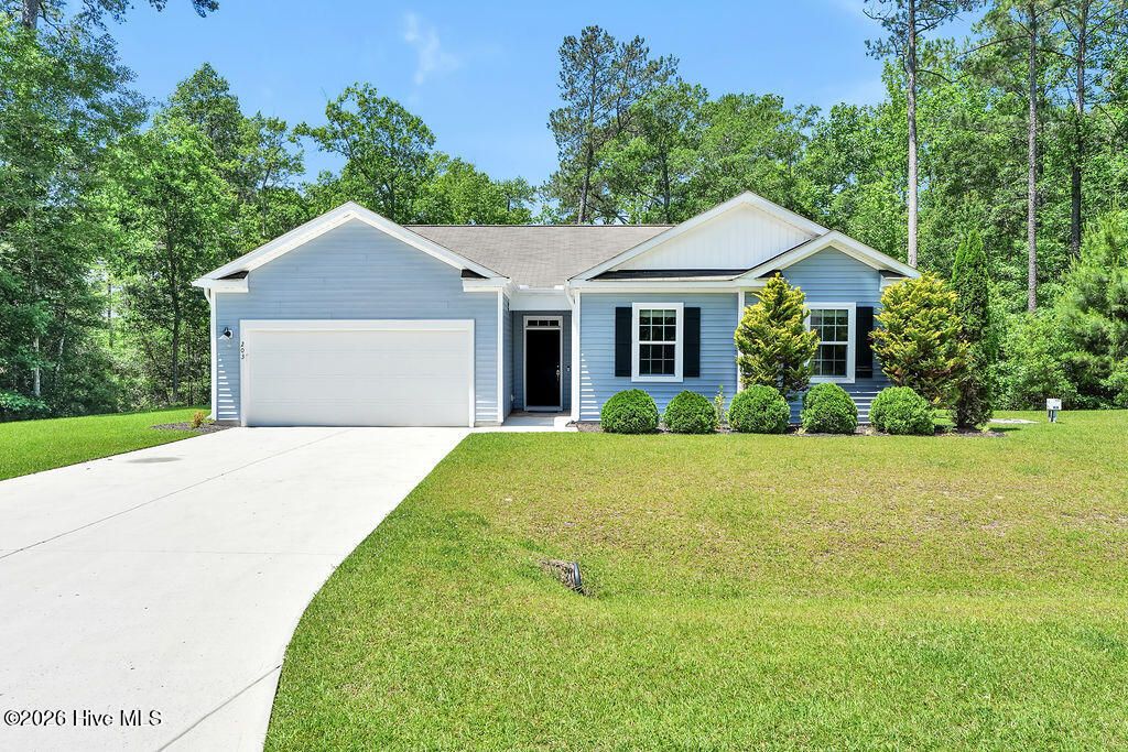 Photo of 203 J Belton Court, Sneads Ferry, NC 28460 (MLS # 100574243)