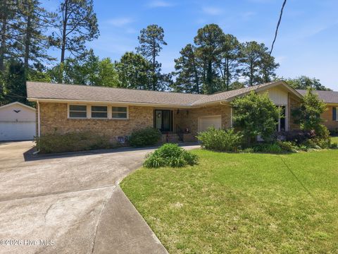 Photo of 103 Graham Street, Greenville, NC 27858 (MLS # 100576248)