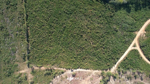 Vacant Land For Sale - 00 Moores Drive<br/> Edgefield, SC 29824