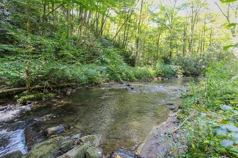 Vacant Land For Sale - 9765 Little Snowbird Road<br/> Graham County, Robbinsville, NC 28771