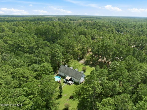 Tiny photo for 217 E Bear Branch Drive, Currie, NC 28435 (MLS # 100601790)