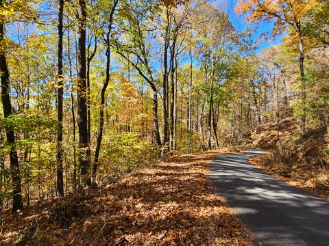 Vacant Land For Sale - Confederate Drive<br/> Clayton, GA 30525
