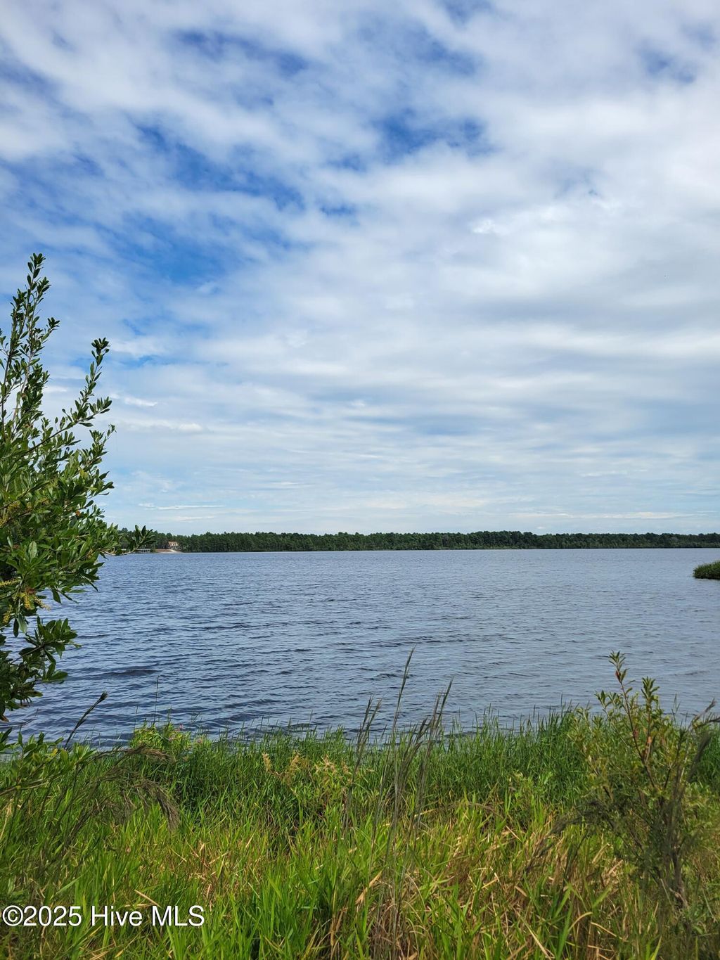 Photo of 545 S Horsepen Drive, Harrells, NC 28444 (MLS # 100531349)