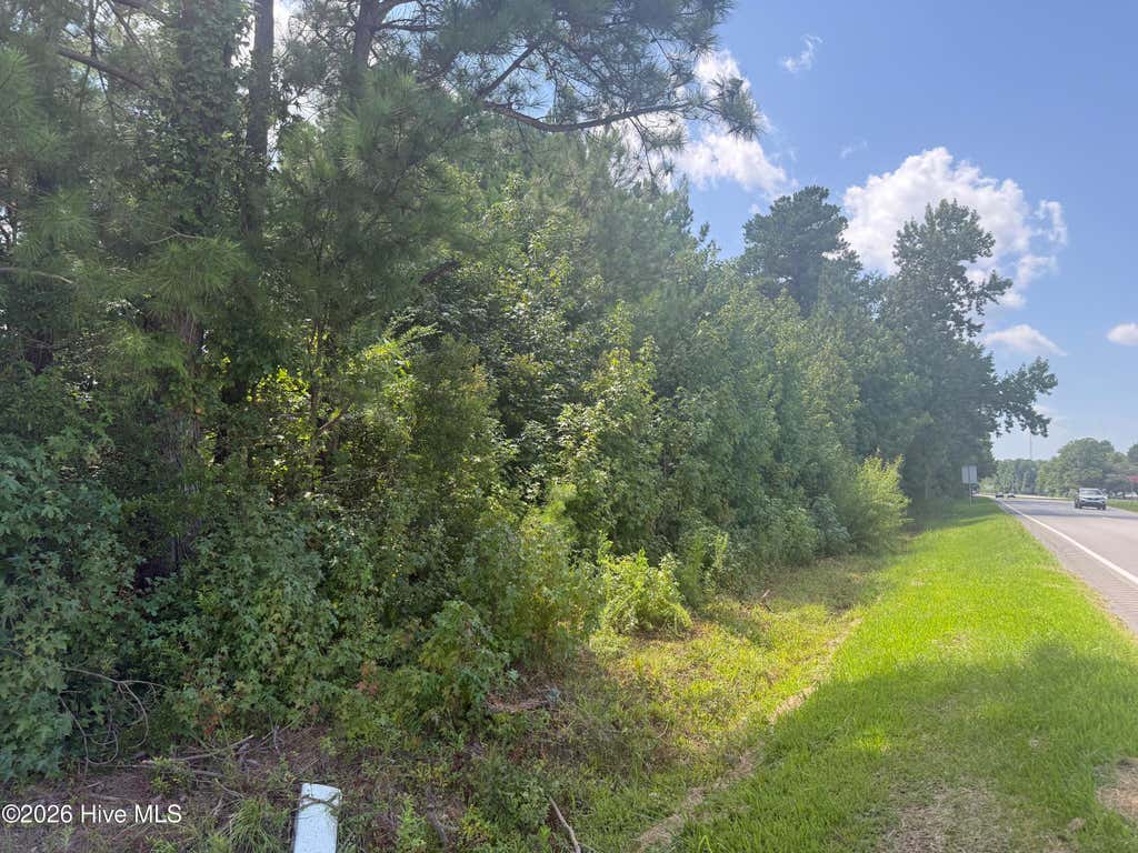 Photo of 26880 Near 26880 Andrew Ja Highway E, Delco, NC 28436 (MLS # 100596957)
