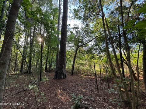 Tiny photo for 470 Acres Lane NW, Calabash, NC 28467 (MLS # 100576784)