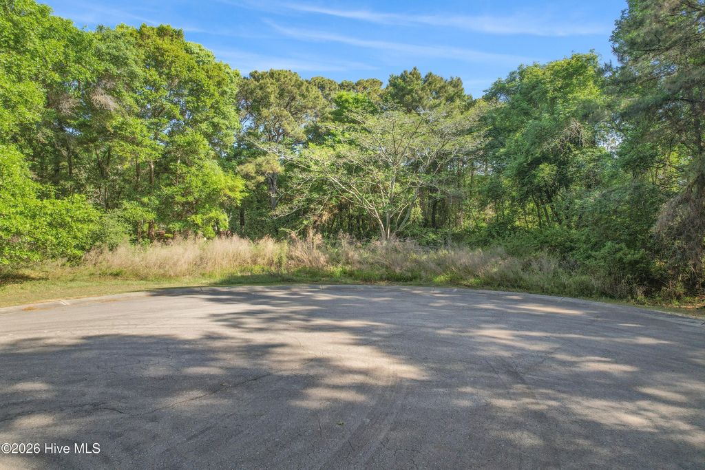 Photo of 506 Nantes Court SW, Supply, NC 28462 (MLS # 100568680)